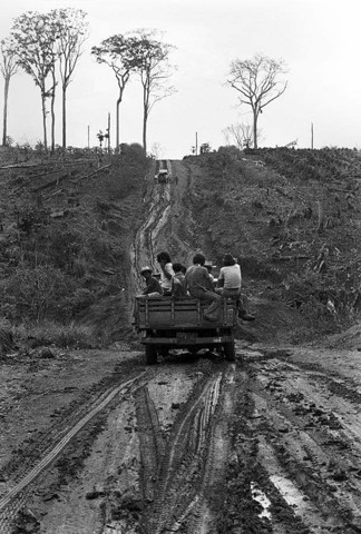 Estado de Rondônia completa 38 anos de instalação: a História, colonização e ciclos econômicos