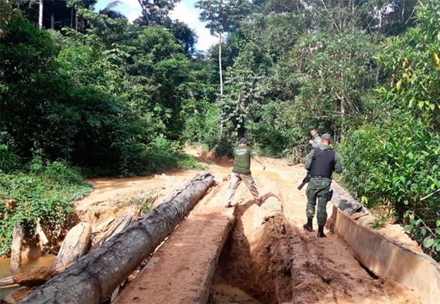 STJ mantém prisão de engenheiro florestal acusado de extração ilegal de madeira em terra indígena