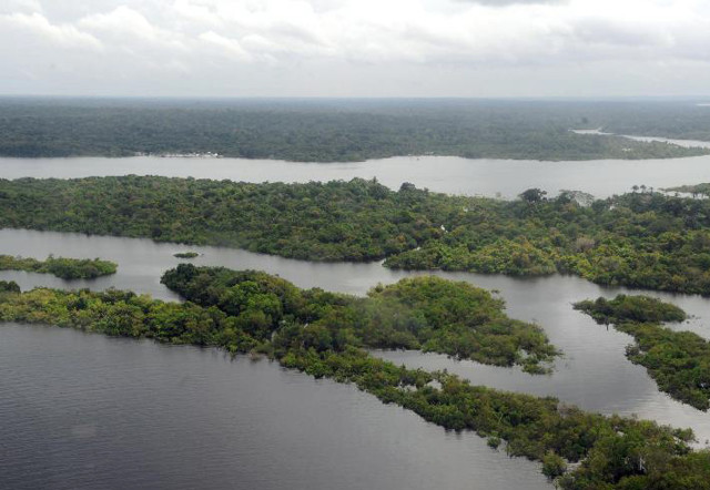 Presidente anuncia criação de Conselho da Amazônia e Força Nacional Ambiental