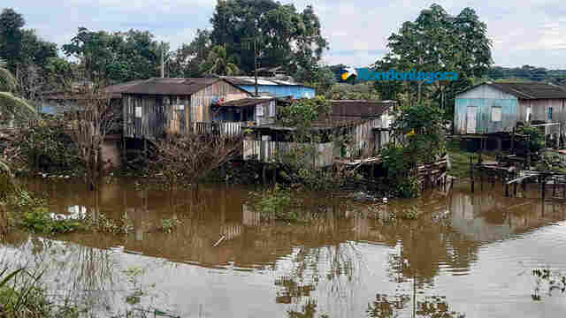 Madeira já está próximo da cota de alerta de 16 metros em Porto Velho