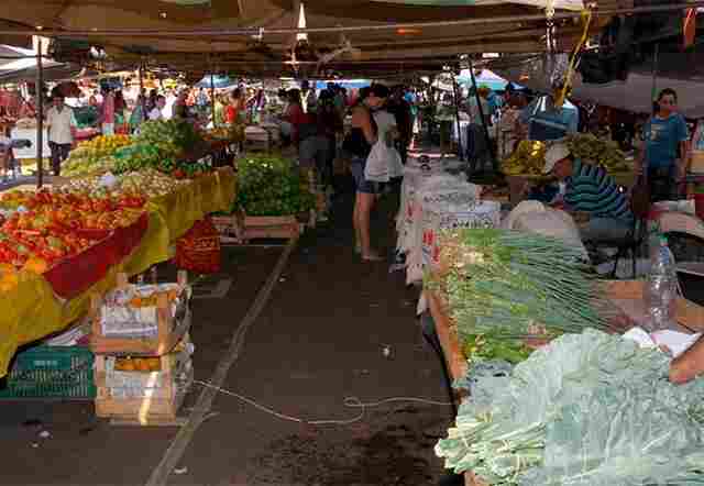 Prefeitura da Capital decide liberar feiras livres, mas sob controle