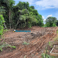 Coronavírus: Prefeitura tem área isolada para até 100 covas em Porto Velho