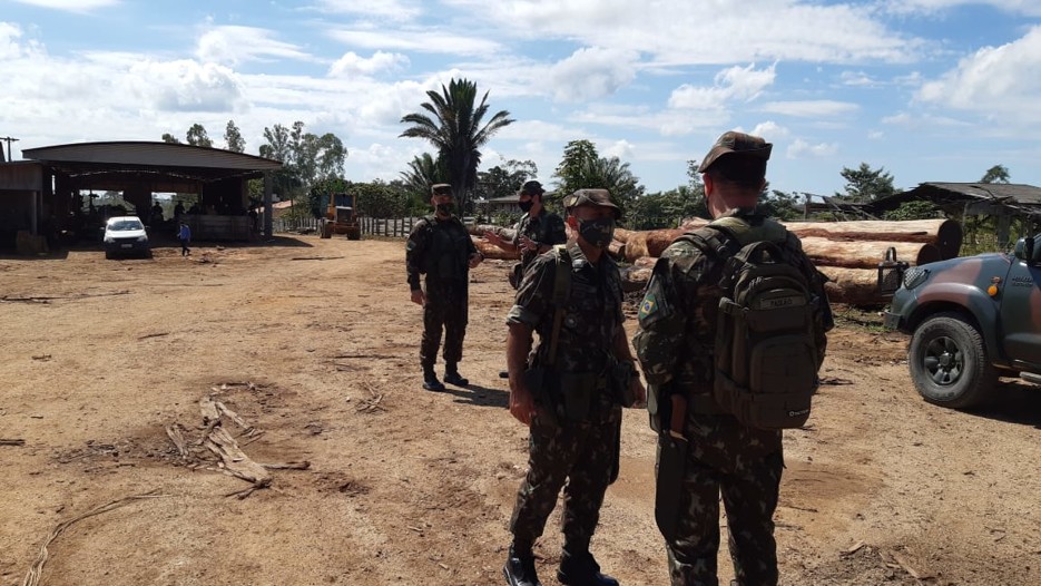 Mais cinco madeireiras são alvo de operação contra extração ilegal; fotos