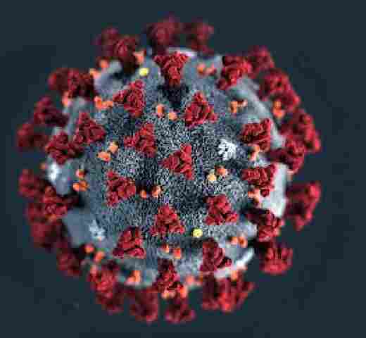 MPs e defensorias públicas vão à Justiça por aumento de leitos de UTI em hospitais privados