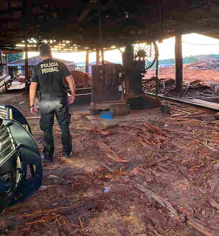 Operação da PF combate exploração ilegal de madeira em terras indígenas