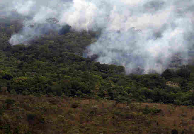 Governo proíbe queimadas em todo o país por 120 dias