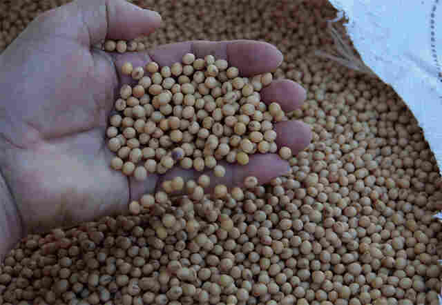 Governo de Rondônia deve retomar estudo da saída para o Pacífico