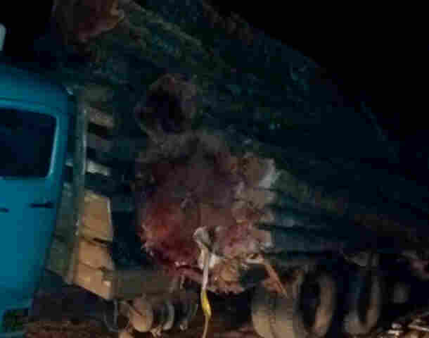 Trabalhador morre esmagado por tora