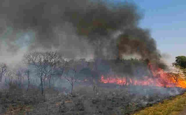 Força-tarefa para combate a incêndios na Amazônia será ampliada