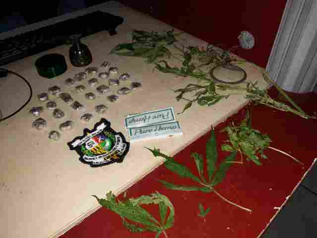 Polícia prende homem com porções de droga e pé de maconha