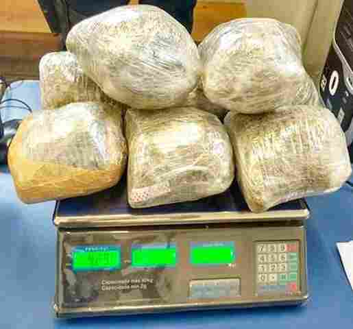 Draco prende três com 17 quilos de maconha