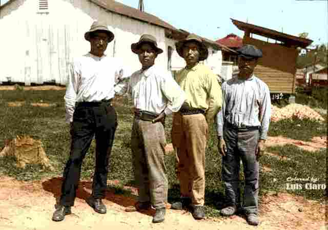 A Força de Trabalho na EFMM