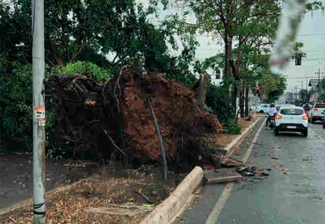 Vídeo e fotos: Temporal com granizo causa destruição na Capital