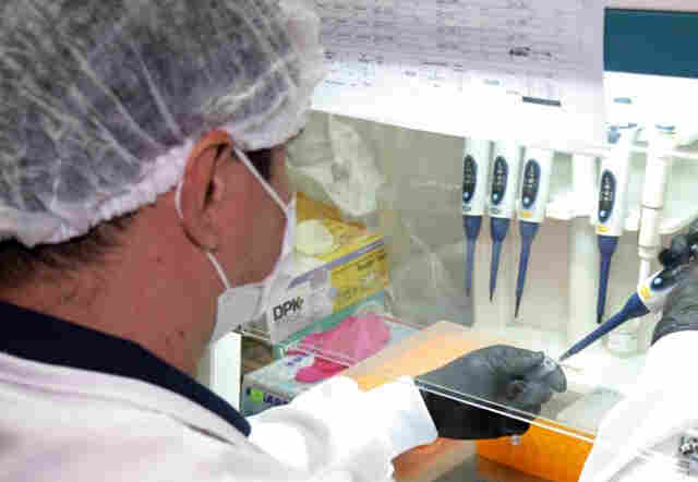 Estado ainda não passou pelo pico do Coronavírus, mas Porto Velho já, diz Agevisa