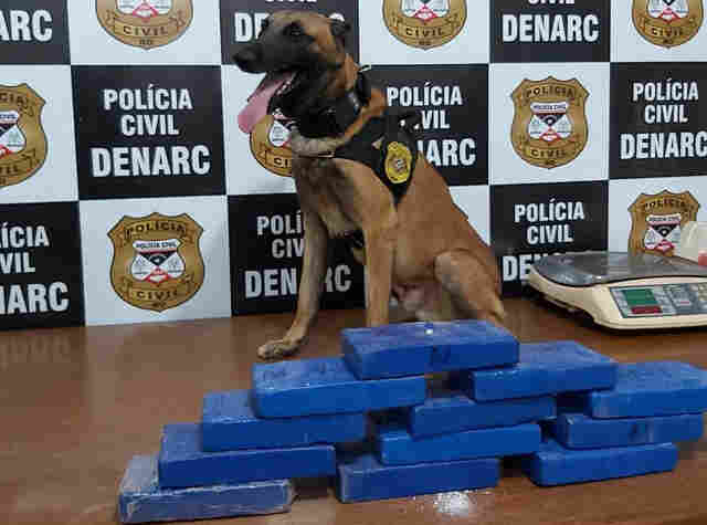 Traficante passa por abordagem na BR, mas é preso após ação de cão farejador