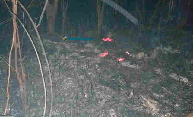 Corpo de idoso de 81 anos é encontrado carbonizado em Porto Velho