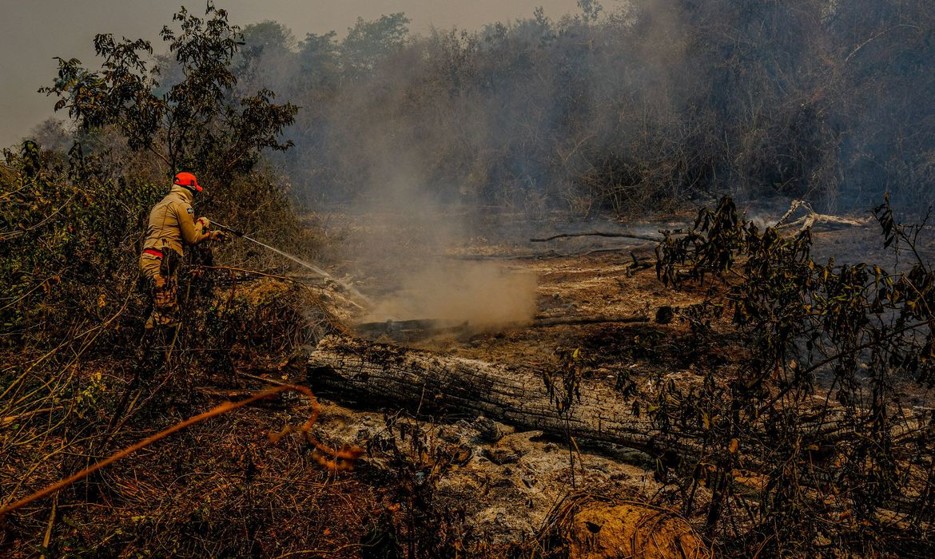 PF e órgãos estaduais apuram causas de incêndios no Pantanal