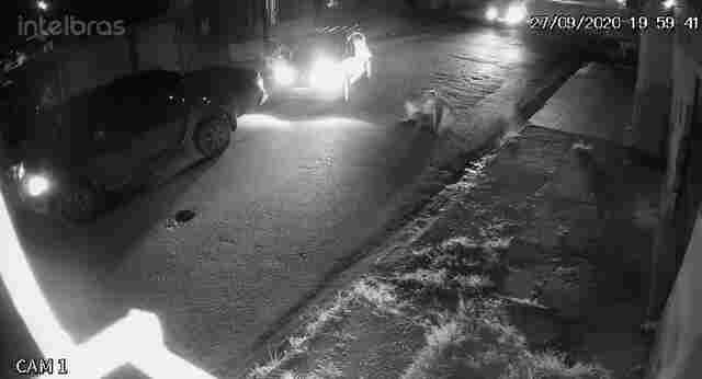 Vídeo: Idoso ataca policial com facão e é atingido a tiros