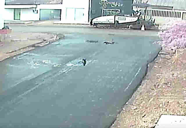 Vídeo: Governo leva na surdina máquina cedida para asfaltamento em Porto Velho