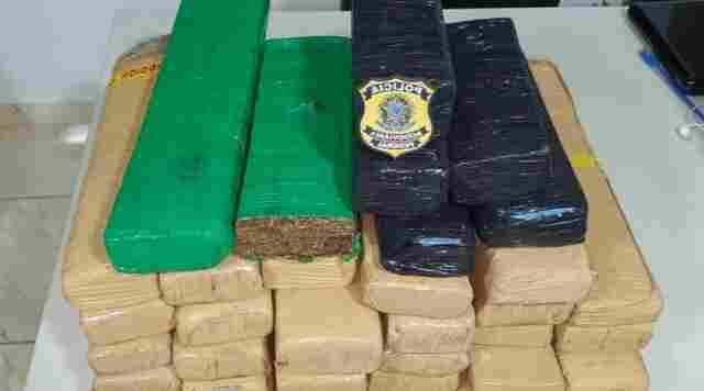 PRF apreende 31 quilos de maconha com motorista de caminhão