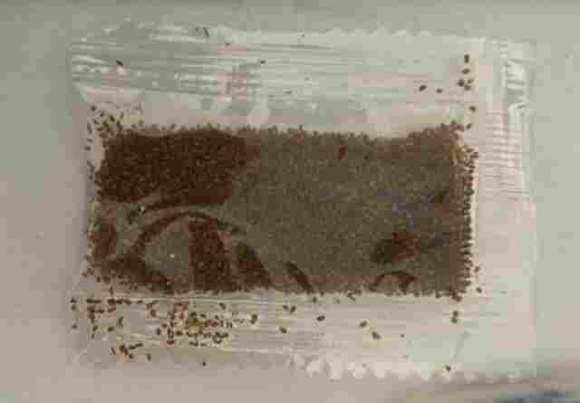 Governo de Rondônia reforça alerta sobre sementes de origem desconhecida