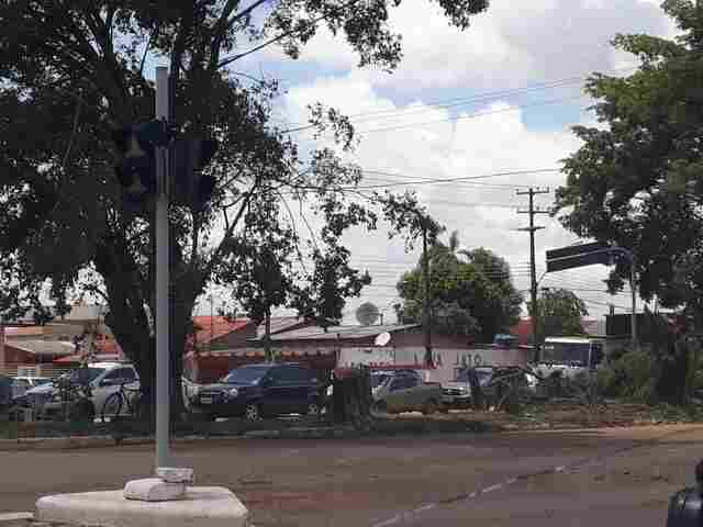 Prefeitura erradica árvores com raízes profundas que prejudicam drenagem e plantará espécies específicas para áreas urbanas