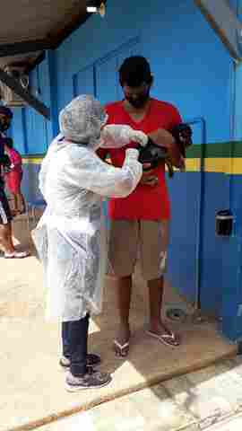 Vacinação antirrábica para cães e gatos continua sendo realizada em Porto Velho