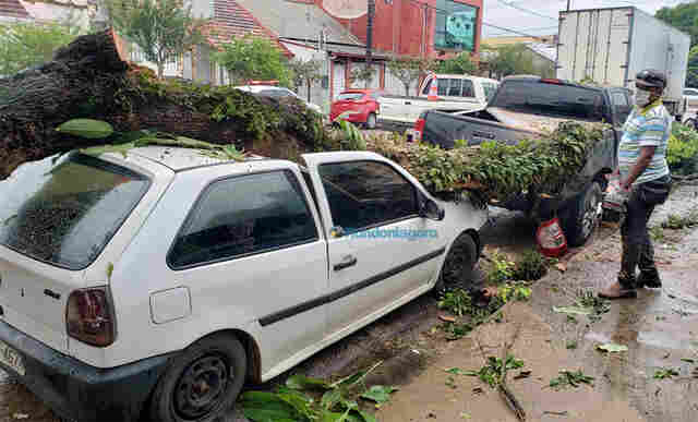 Vídeo: carros são destruídos após carreta derrubar galho de árvore