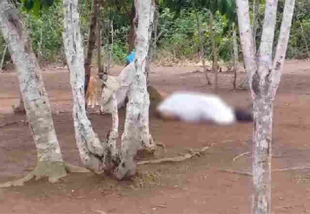 Homem que ameaçava pastor com facão é morto por policial