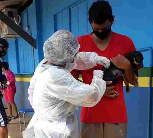 Centro de Zoonoses continua vacinando durante a pandemia em Porto Velho