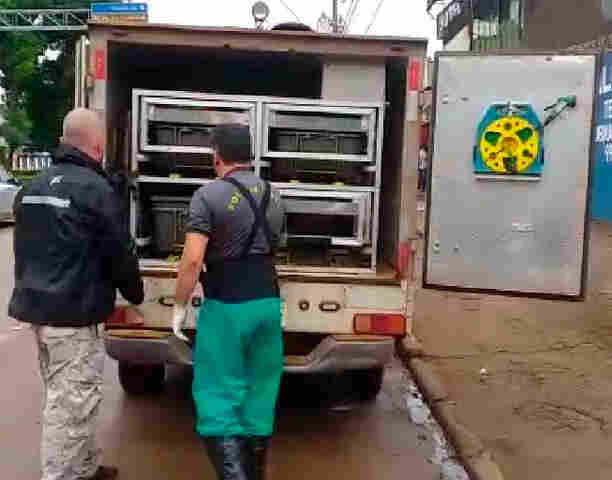 Homem é morto a facadas durante briga na Capital