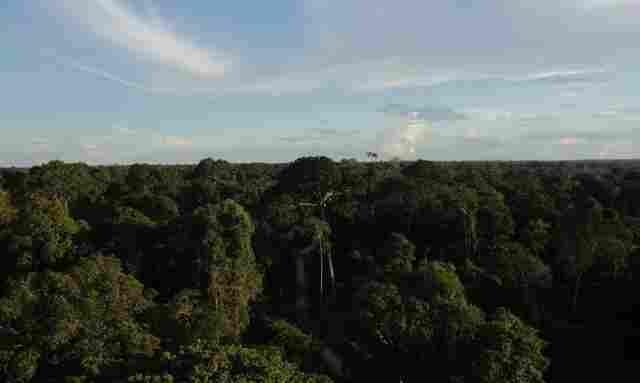 PF deflagra operação contra crimes ambientais na divisa entre AC e AM