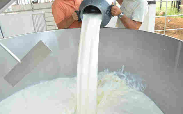 Conseleite apresenta preço referencial do leite na próxima quinta