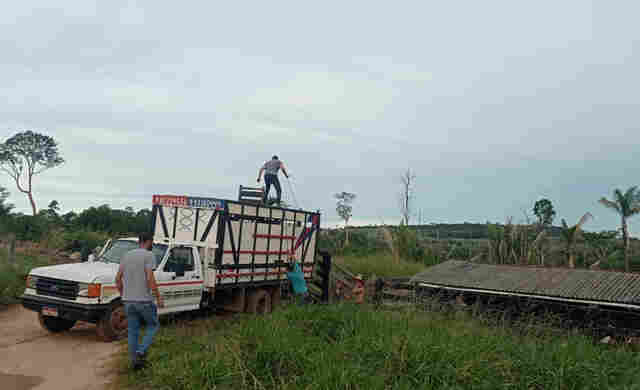 Polícia Civil age rápido e recupera gado roubado no interior