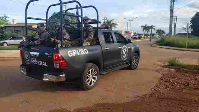 Operação da PF investiga fraudes em sistemas de documentação de madeira e prende dois