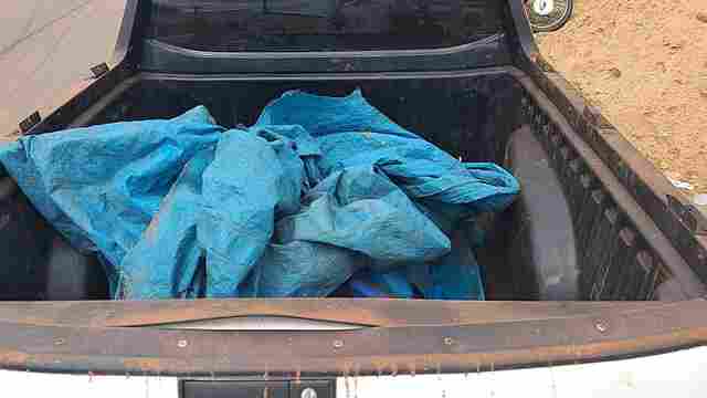 PM prende jovem tentando furtar gado abatido em fazenda