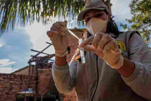 Levantamento ajuda identificar focos do mosquito Aedes aegypti