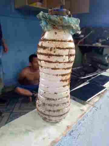 Denarc prende apenado monitorado com 245 porções de cocaína