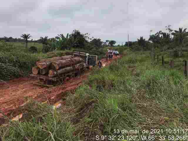 PF prende quatro por transporte ilegal de madeira próximo a reserva