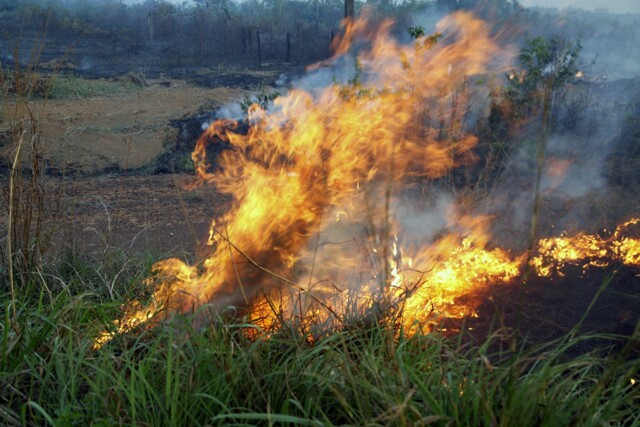 Sedam intensifica ações de prevenção às queimadas e incêndios florestais em Rondônia