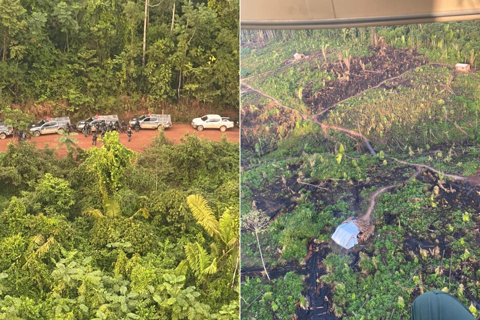 Operação Bico do Parque Estadual de Guajará-Mirim termina sem confronto e retira 50 invasores