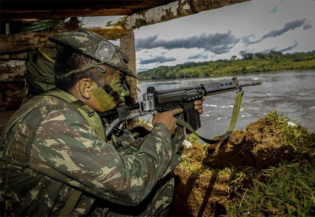 Crimes ambientais: presidente autoriza uso das Forças Armadas em Rondônia