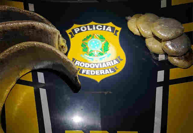 Peruanas são presas em Rondônia com 12,5 kg de pasta base de cocaína