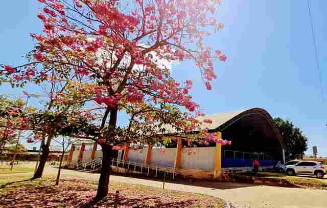 Semes anuncia retorno de atividades e calendário de competições