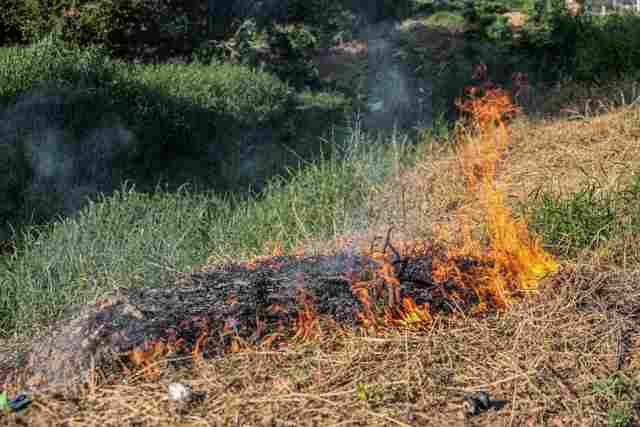 Fiscalização contra queimadas é reforçada em Porto Velho