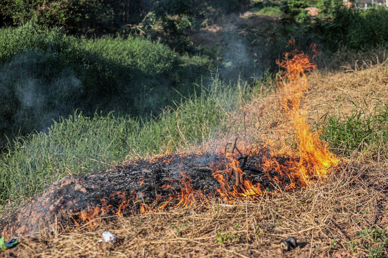 Fiscalização contra queimadas é reforçada em Porto Velho