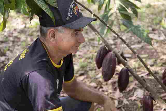 Conheça histórias inspiradoras de produtores rurais rondonienses