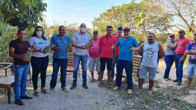 Produtores de abacaxi serão contemplados com emenda parlamentar do deputado Ismael Crispin