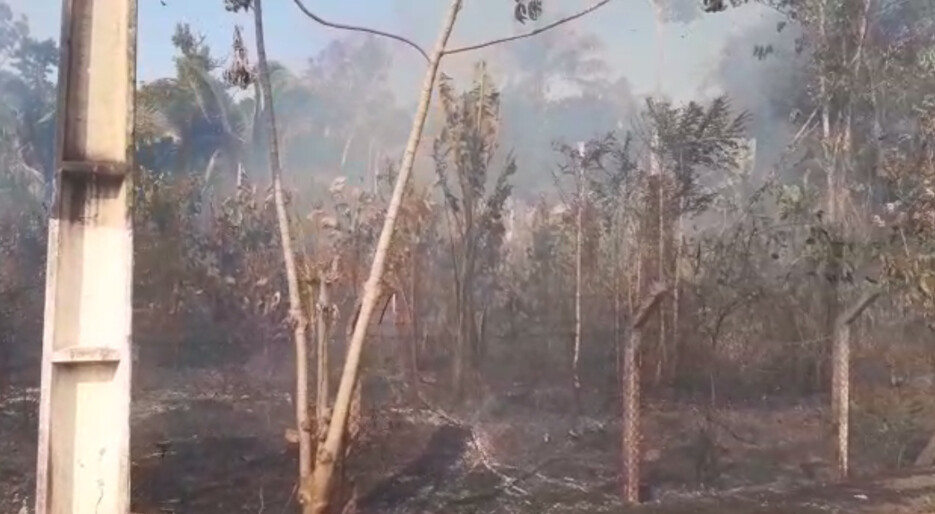 Vídeo: fogo destrói área próxima ao Espaço Alternativo há três dias