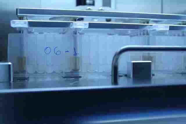 Fiocruz Rondônia divulga novos resultados de sequenciamento genético do coronavírus